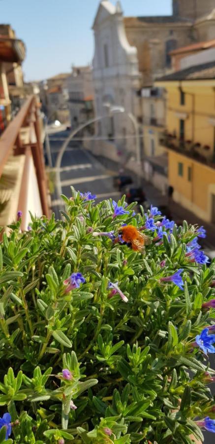 Il Nido B&B San Vito Chietino Zewnętrze zdjęcie